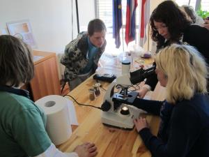 Pelodna zrna pod mikroskopom